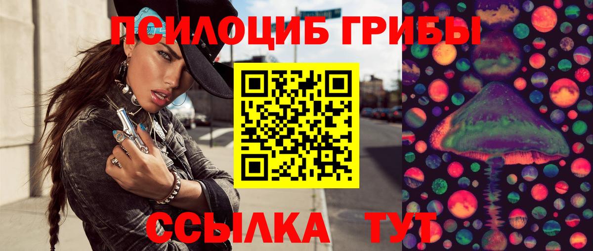 Псилоцибиновые грибы GOLDEN TEACHER Магадан